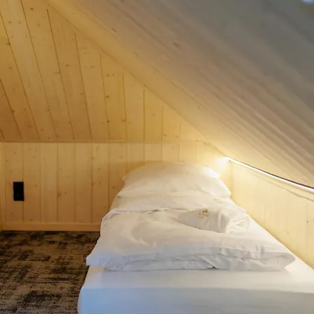 Harmony Land Vip Z Sauna I Jacuzzi By Royal Aparts Apartmán Sklářská Poruba